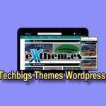 techbigs themes wordpress